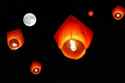 小锦鲤